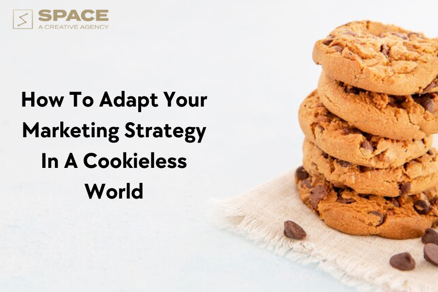 How To Adapt Your Marketing Strategy In A Cookieless World